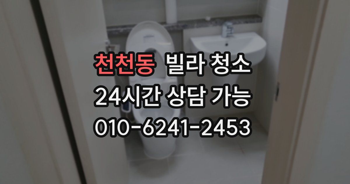 천천동 빌라 청소