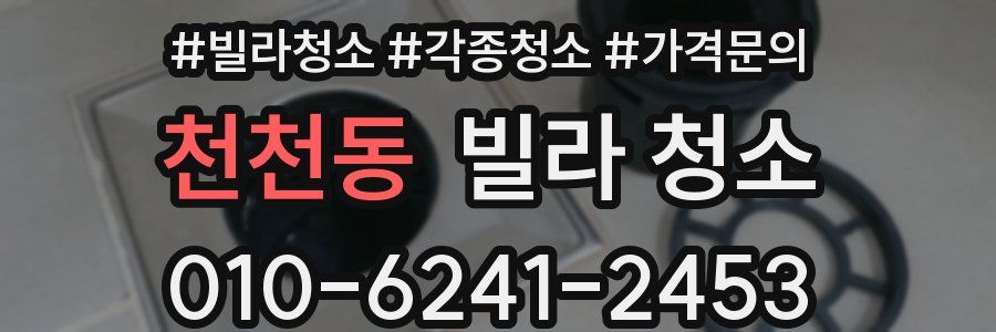 천천동 빌라 청소