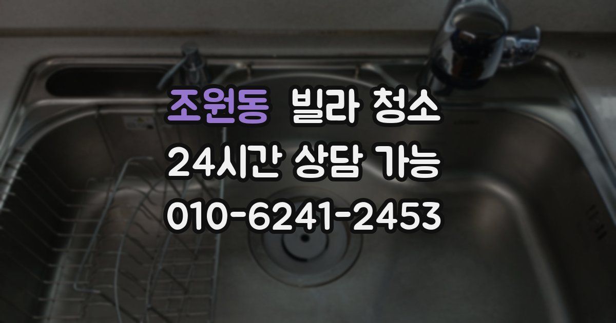 조원동 빌라 청소