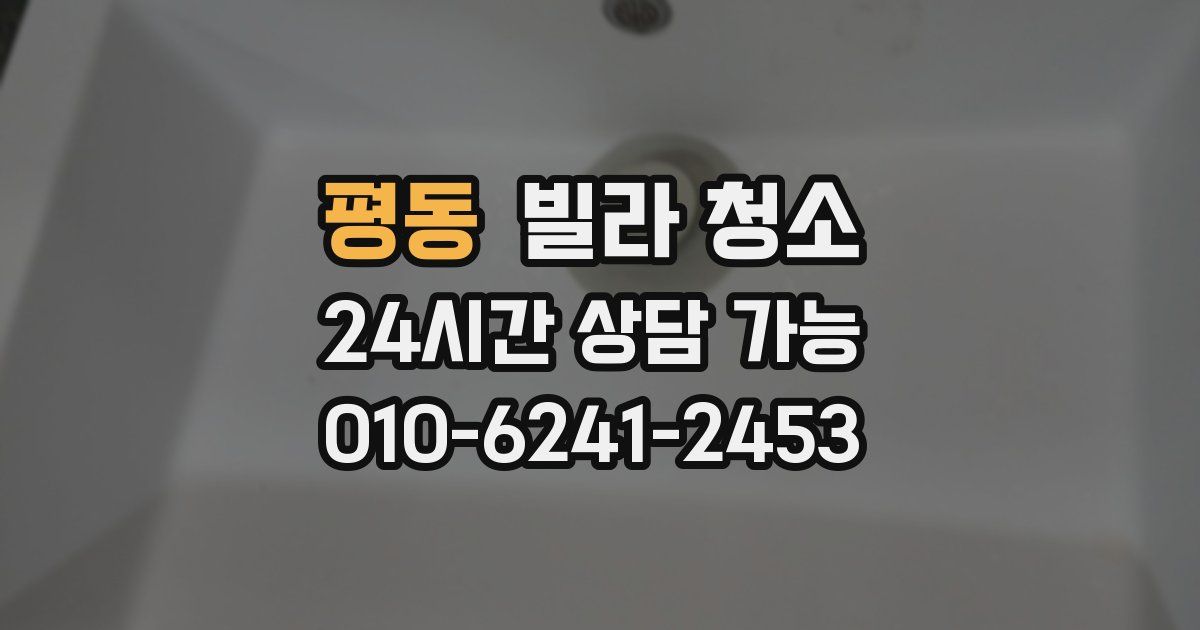 평동 빌라 청소