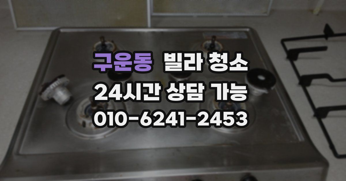 구운동 빌라 청소