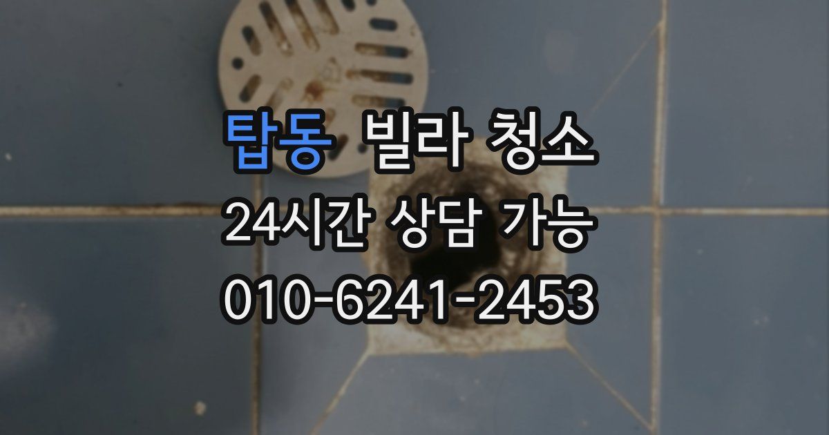 탑동 빌라 청소
