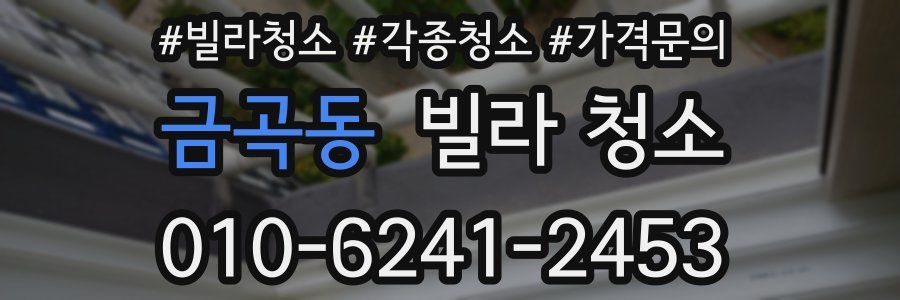 금곡동 빌라 청소