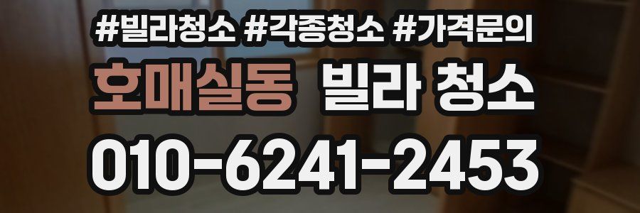 호매실동 빌라 청소