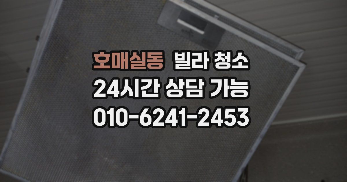 호매실동 빌라 청소