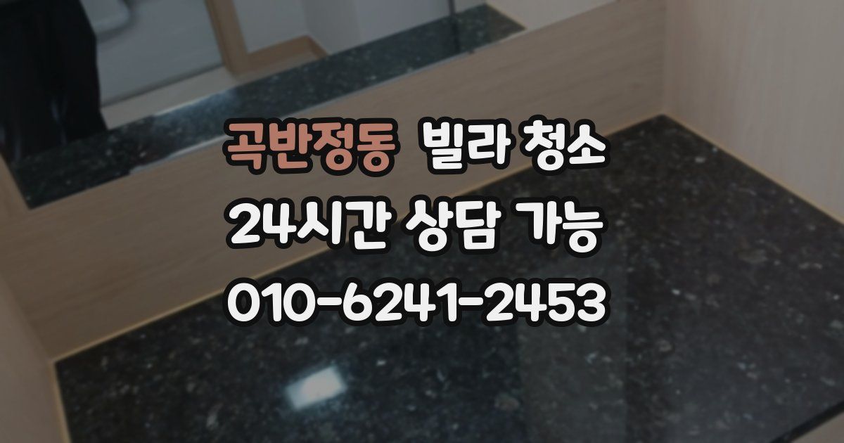 곡반정동 빌라 청소