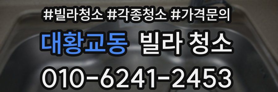 대황교동 빌라 청소
