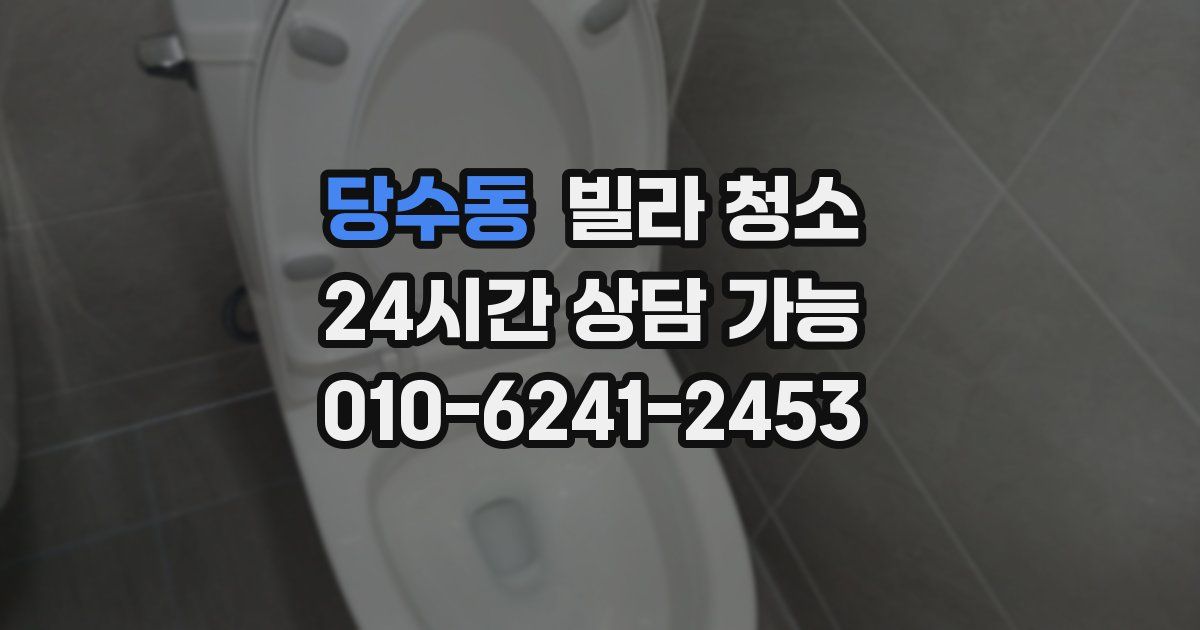 당수동 빌라 청소