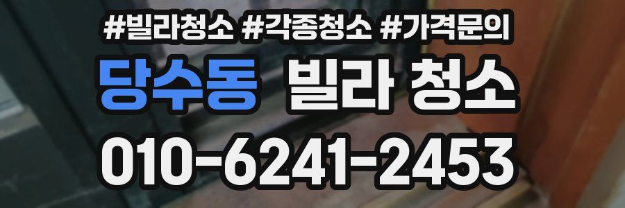 당수동 빌라 청소