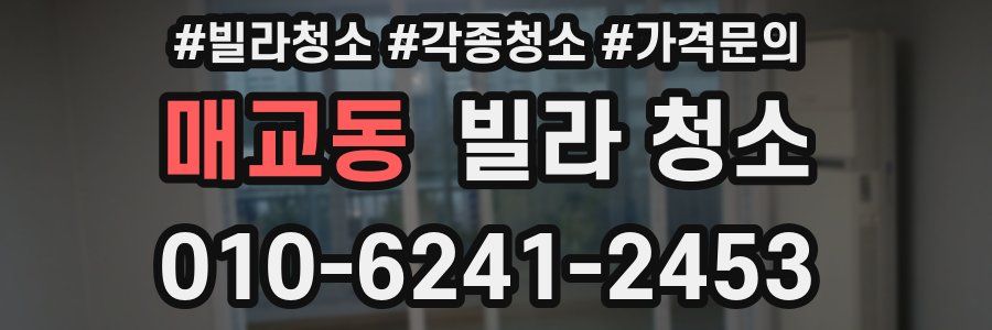 매교동 빌라 청소