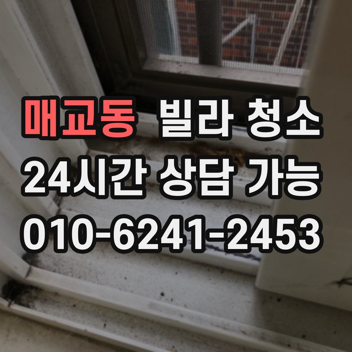 매교동 빌라 청소