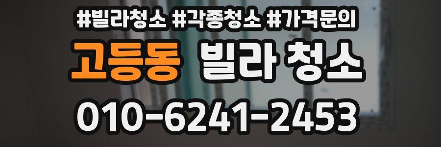 고등동 빌라 청소