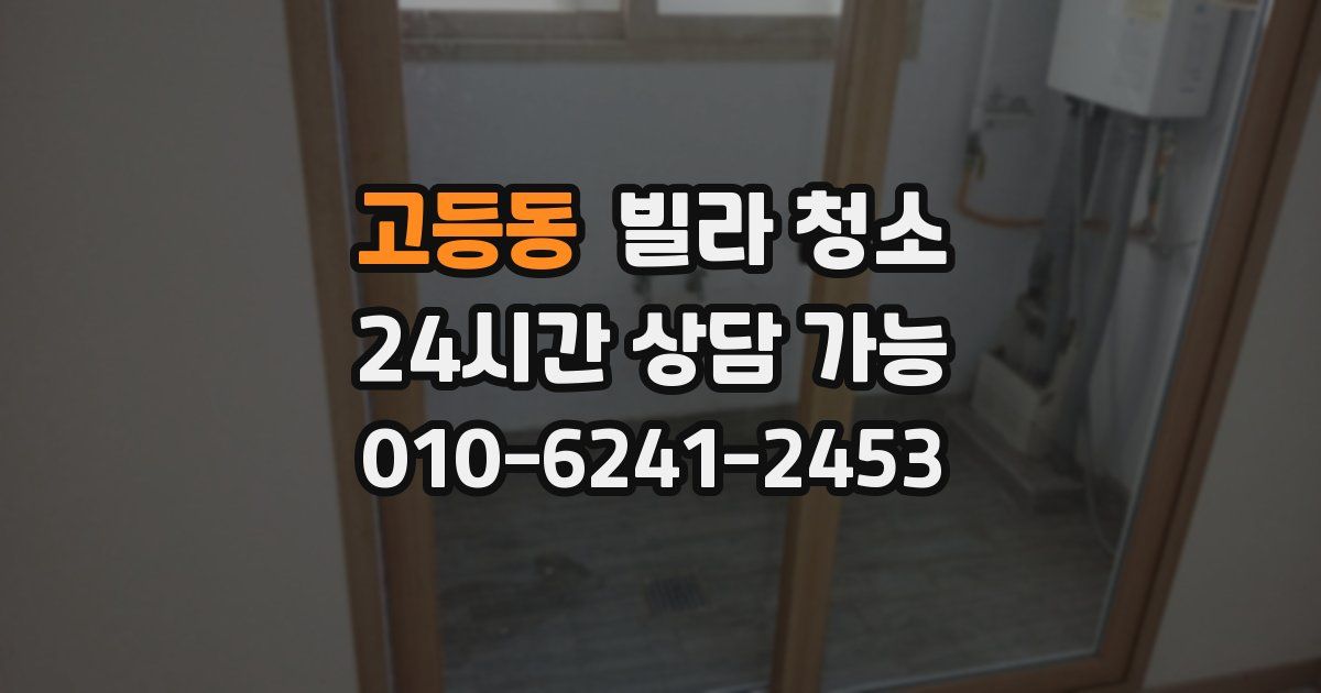 고등동 빌라 청소