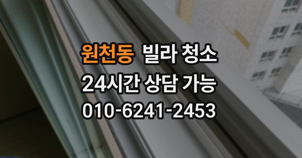 원천동 빌라 청소