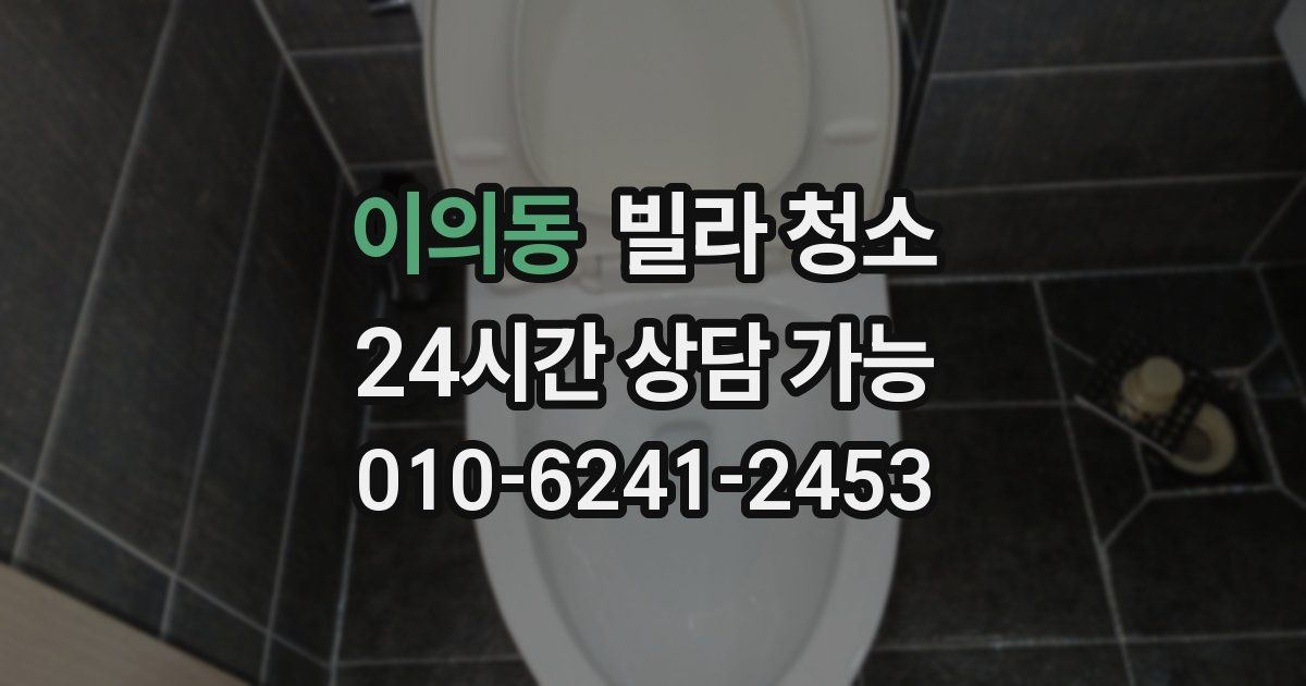 이의동 빌라 청소