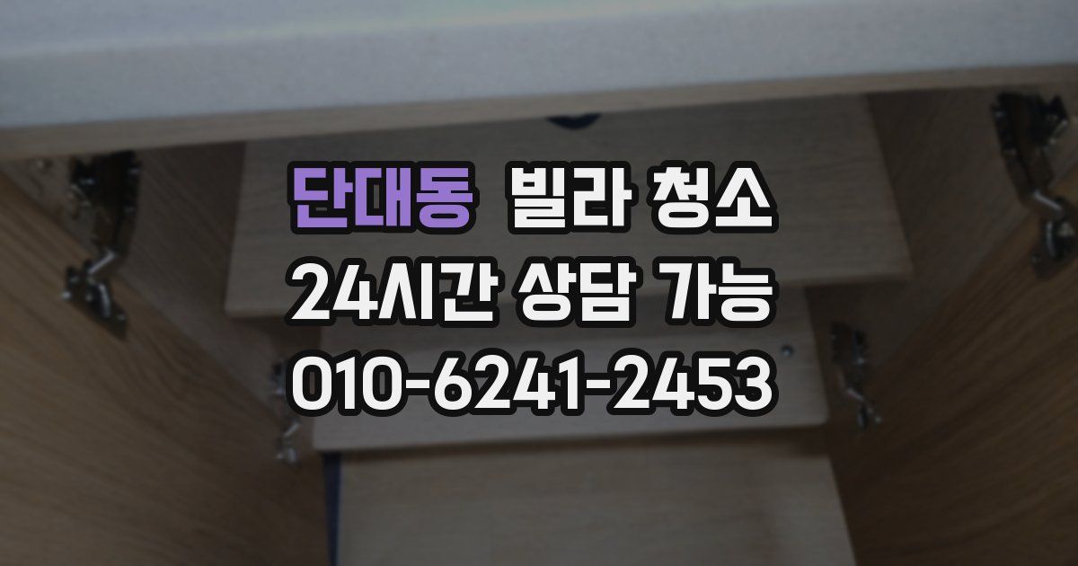 단대동 빌라 청소