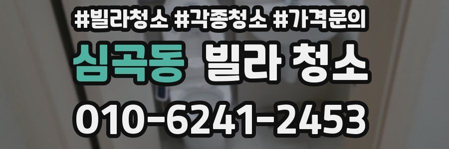 심곡동 빌라 청소