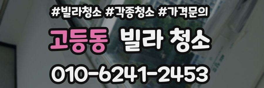 고등동 빌라 청소