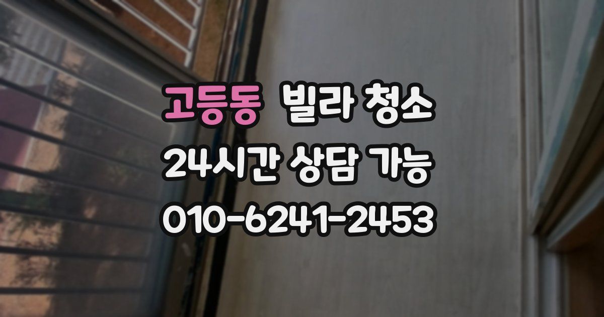 고등동 빌라 청소