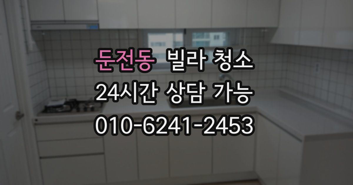 둔전동 빌라 청소