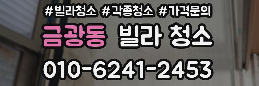 금광동 빌라 청소