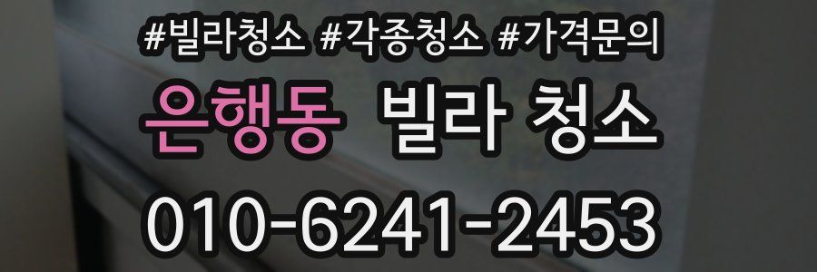 은행동 빌라 청소