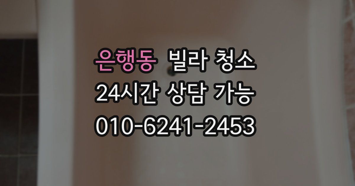 은행동 빌라 청소