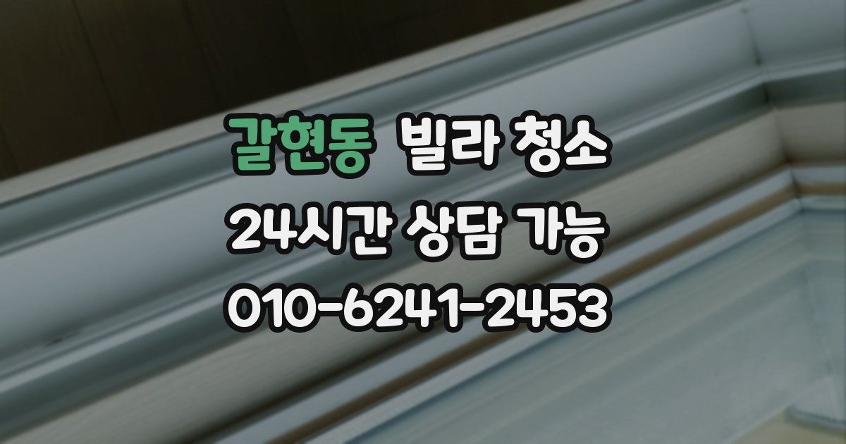 갈현동 빌라 청소