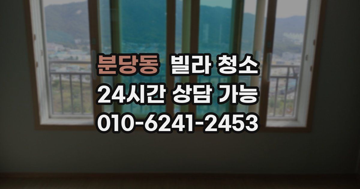 분당동 빌라 청소