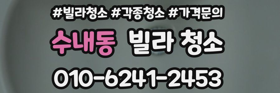 수내동 빌라 청소