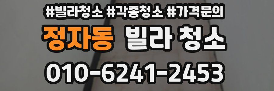 정자동 빌라 청소