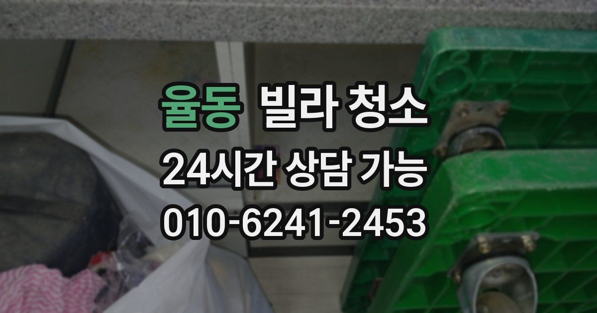 율동 빌라 청소