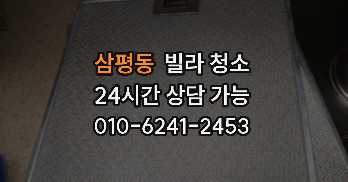 삼평동 빌라 청소