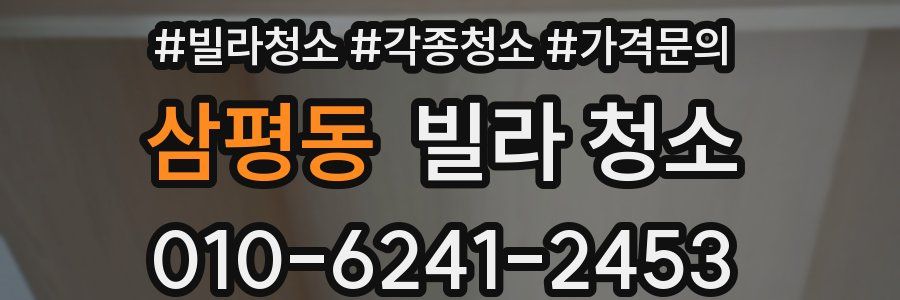 삼평동 빌라 청소