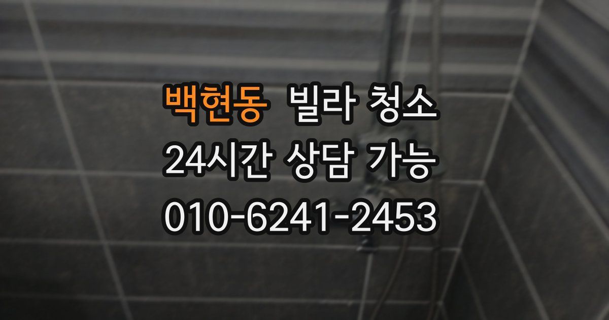 백현동 빌라 청소