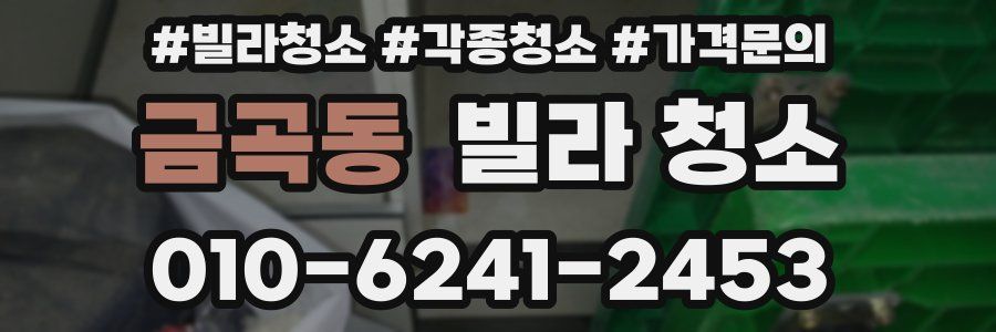 금곡동 빌라 청소