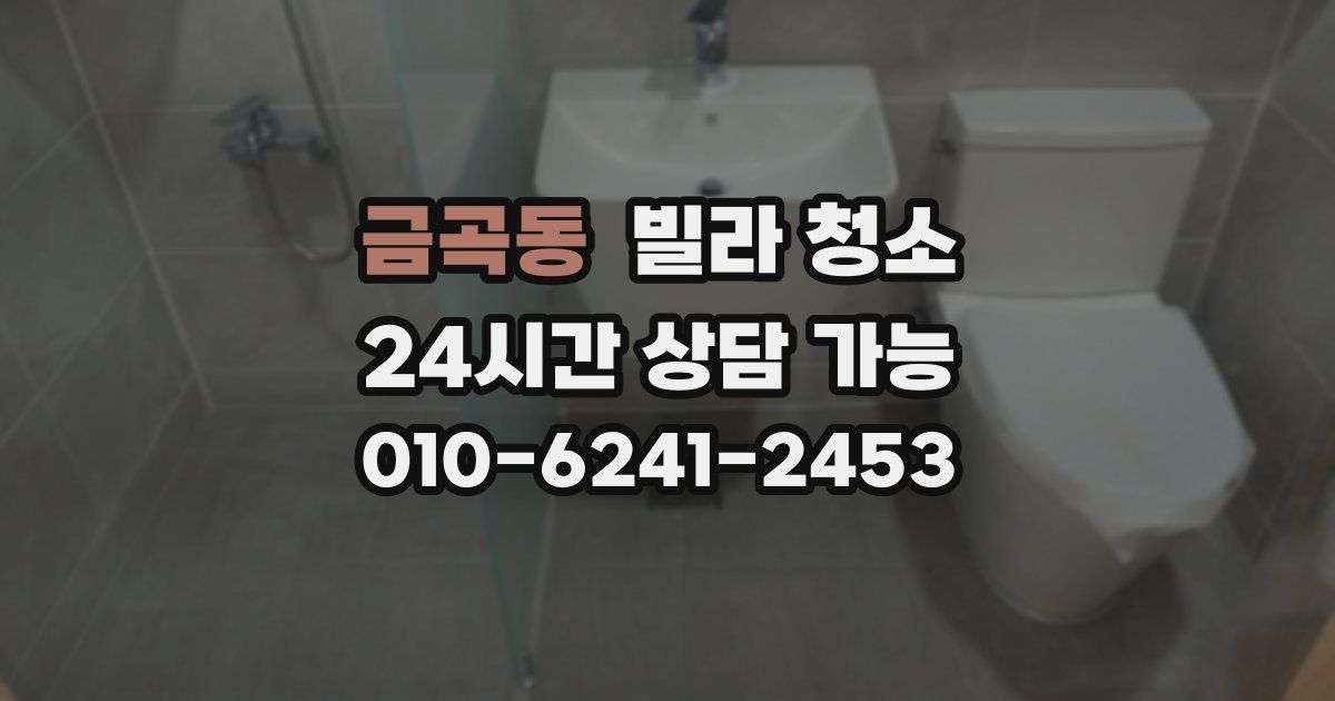 금곡동 빌라 청소