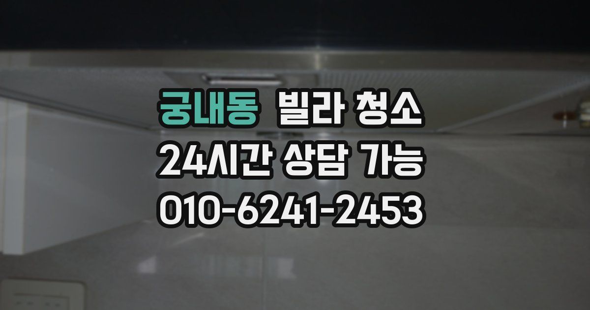 궁내동 빌라 청소