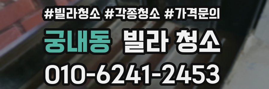 궁내동 빌라 청소