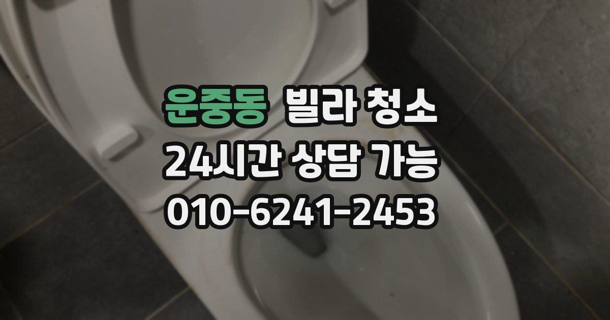 운중동 빌라 청소