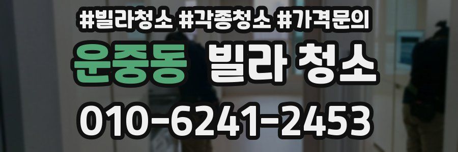 운중동 빌라 청소