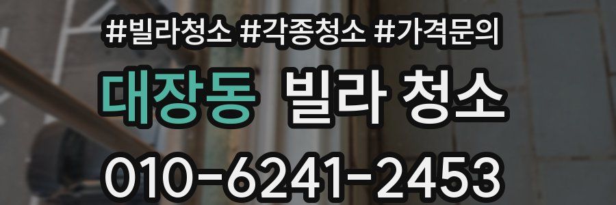 대장동 빌라 청소