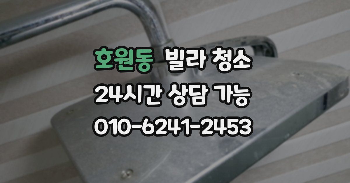 호원동 빌라 청소