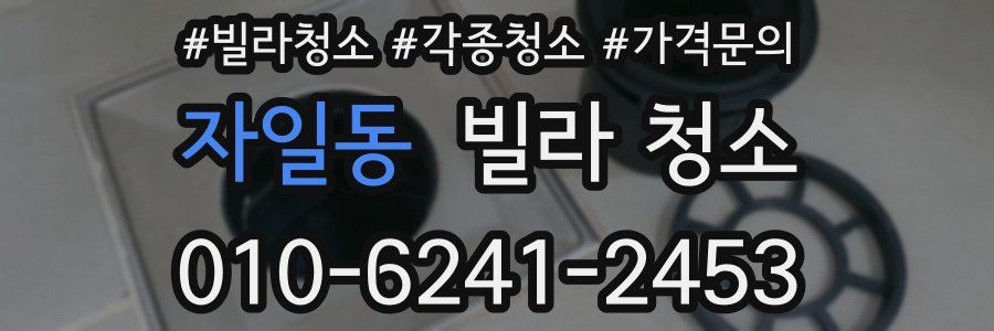 자일동 빌라 청소