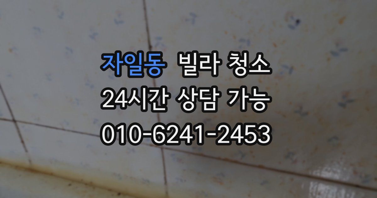 자일동 빌라 청소