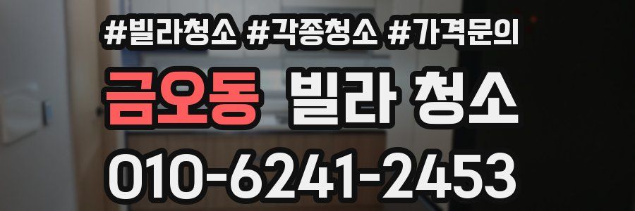 금오동 빌라 청소