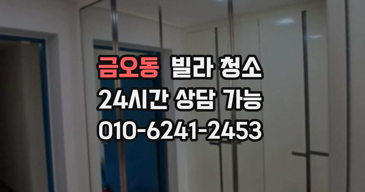 금오동 빌라 청소