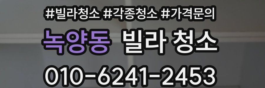 녹양동 빌라 청소