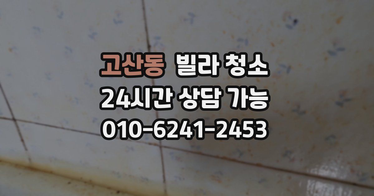 고산동 빌라 청소