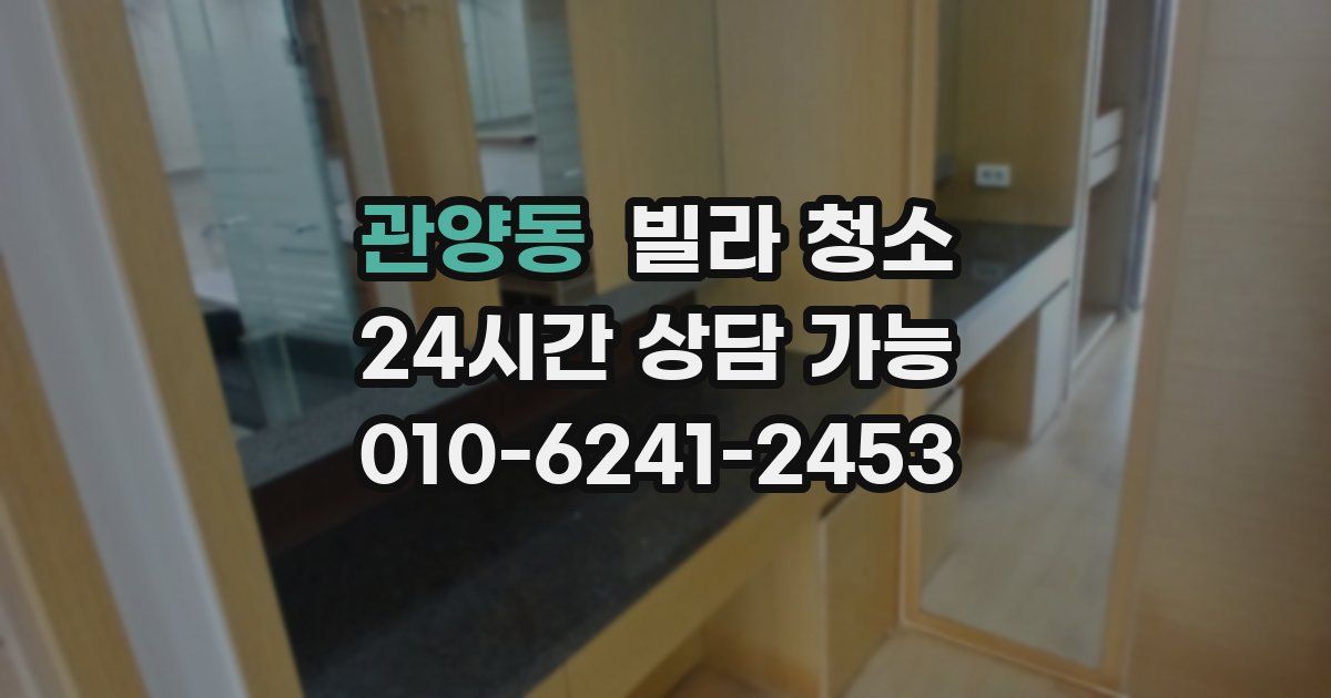 관양동 빌라 청소